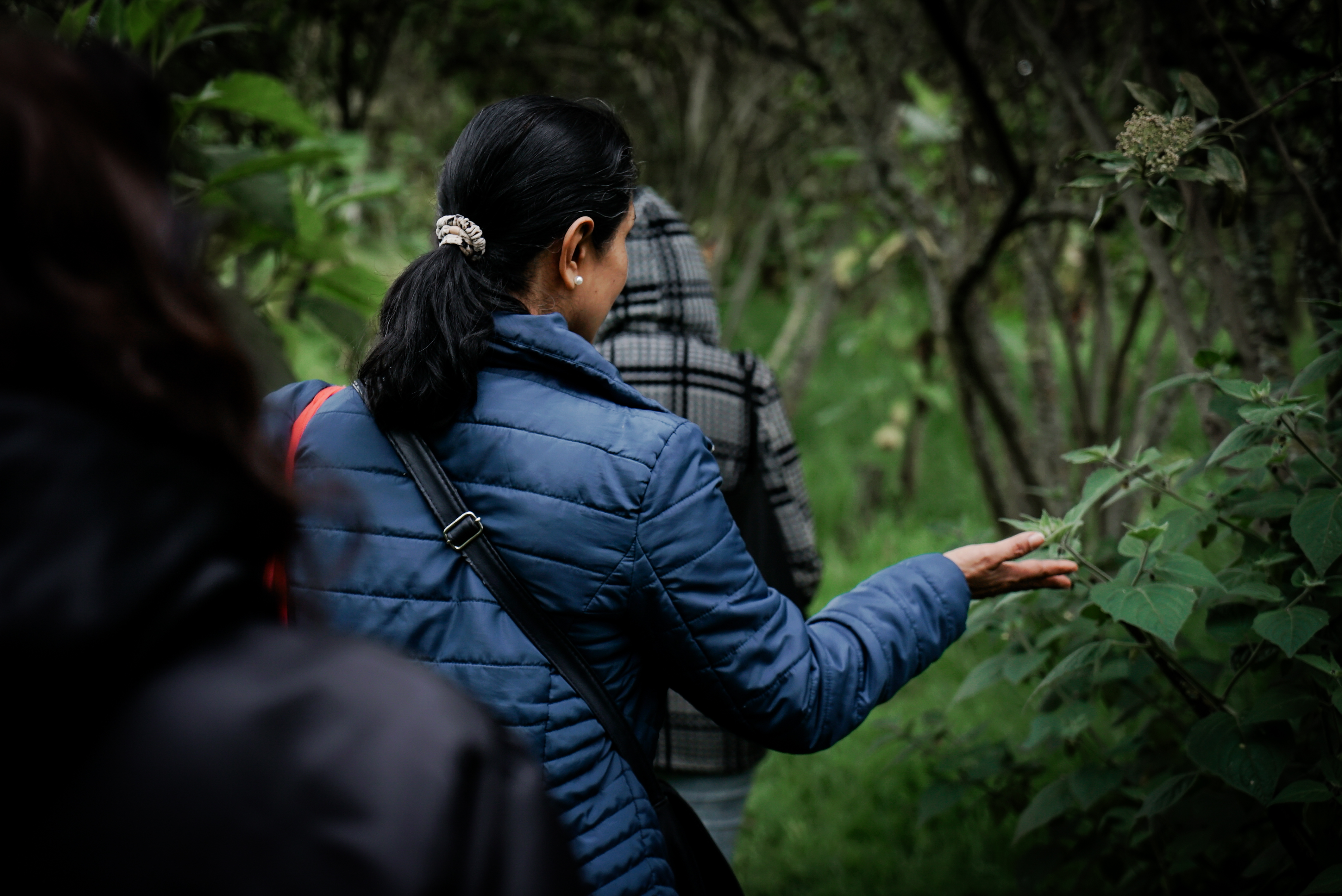 Mujeres en caminata ecológica