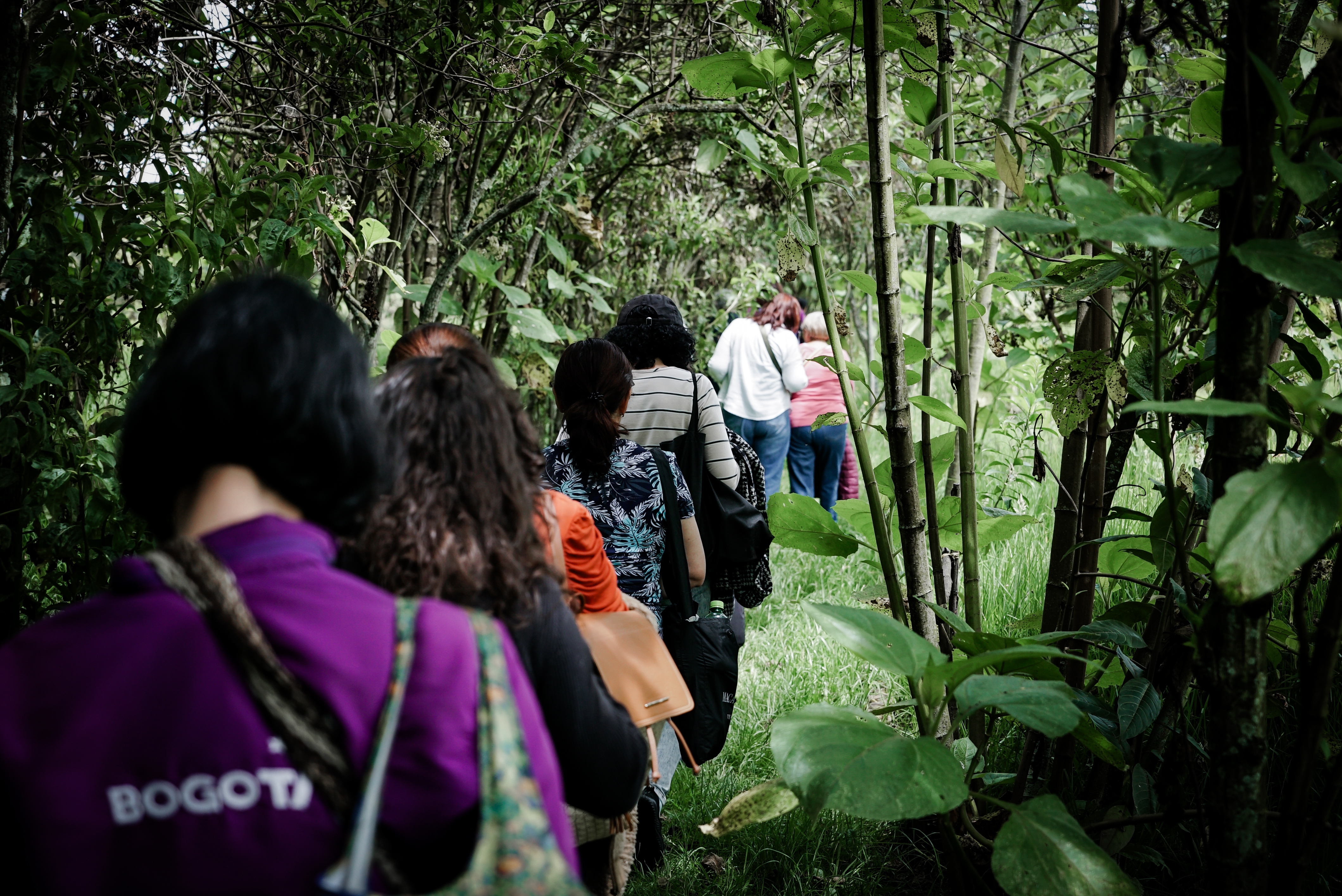 Mujeres en caminata ecológica