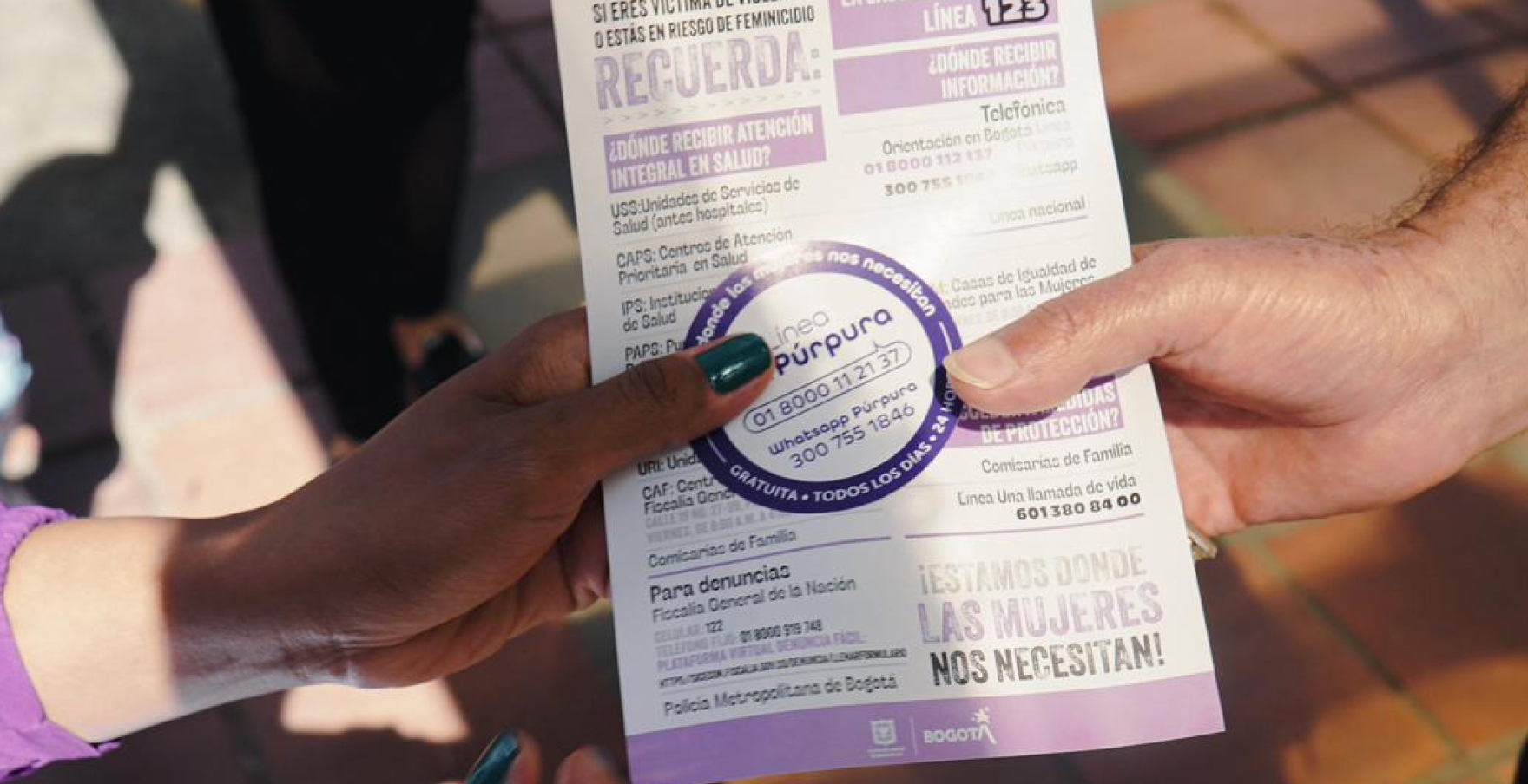 Información línea púrpura