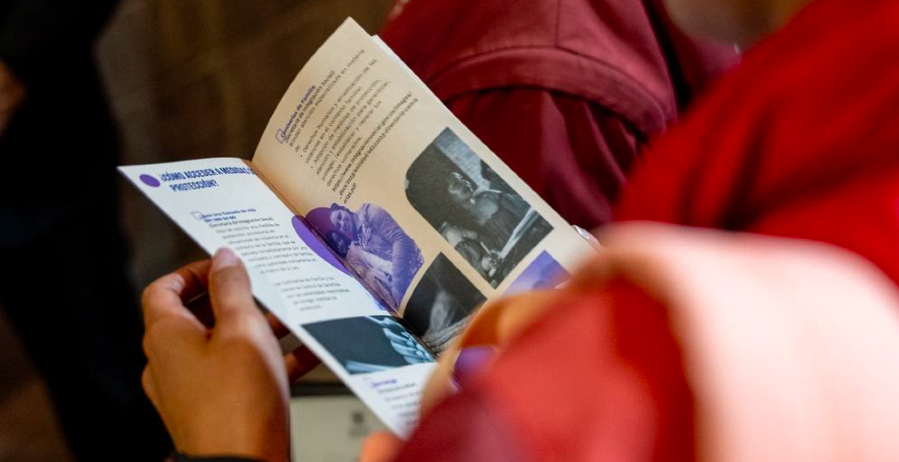 Información de la SDMujer