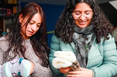 Mujeres emprendedoras