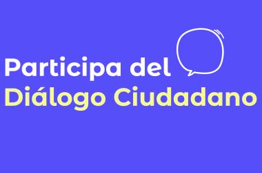 Dialogo ciudadano 11 de nov